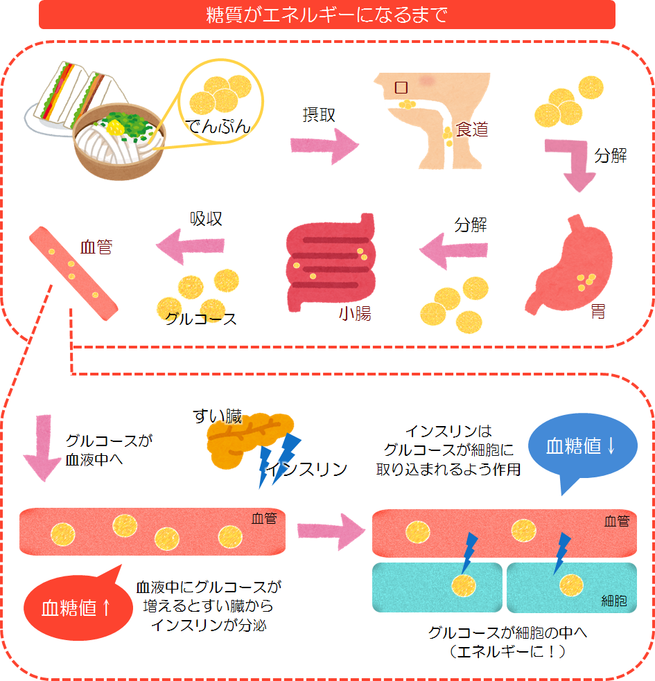 血糖値の基礎知識引用画像