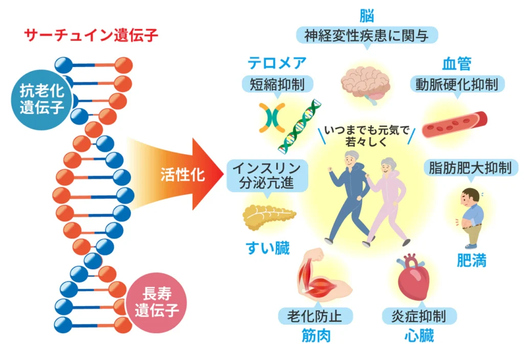 最新の研究と技術引用画像