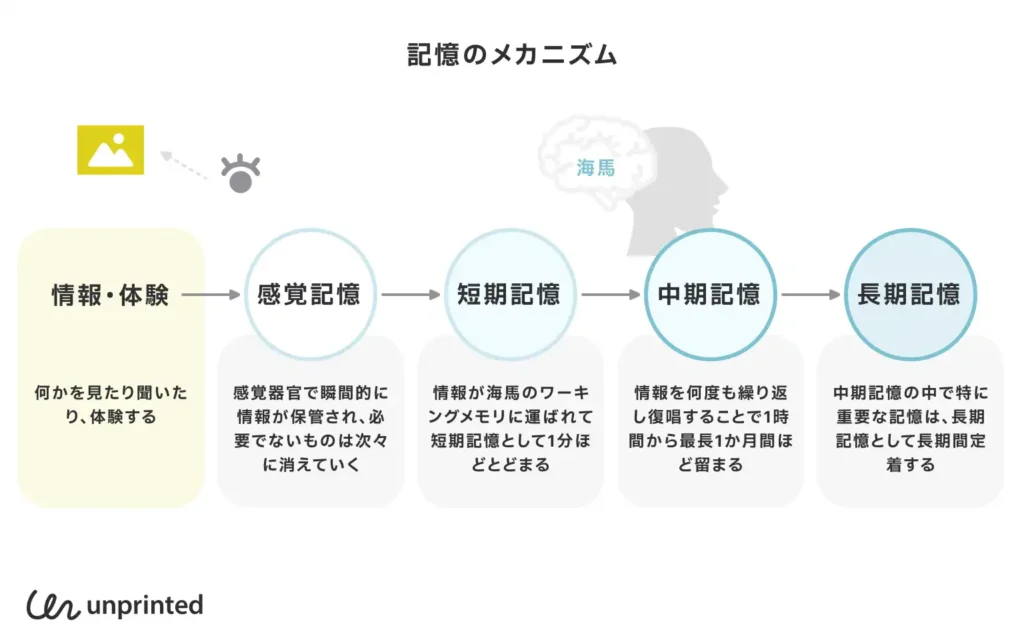 記憶と意識引用画像