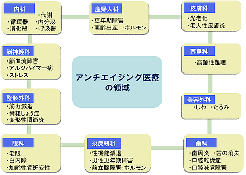 アンチエイジング医療引用画像