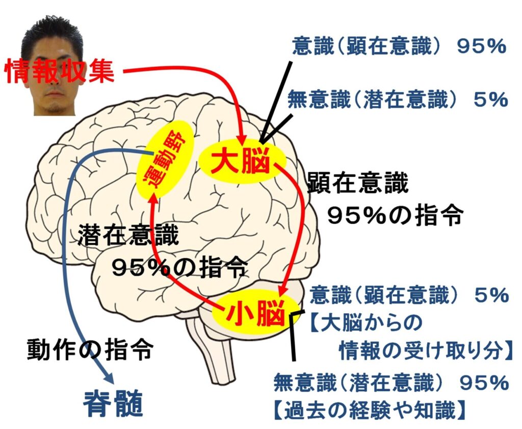 意識の生理学引用画像