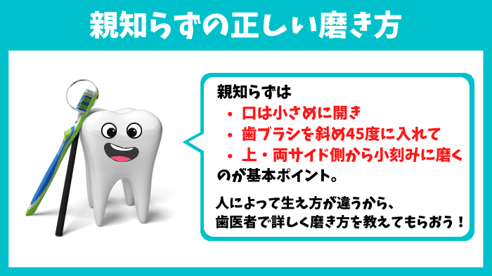 親知らずの予防と管理引用画像