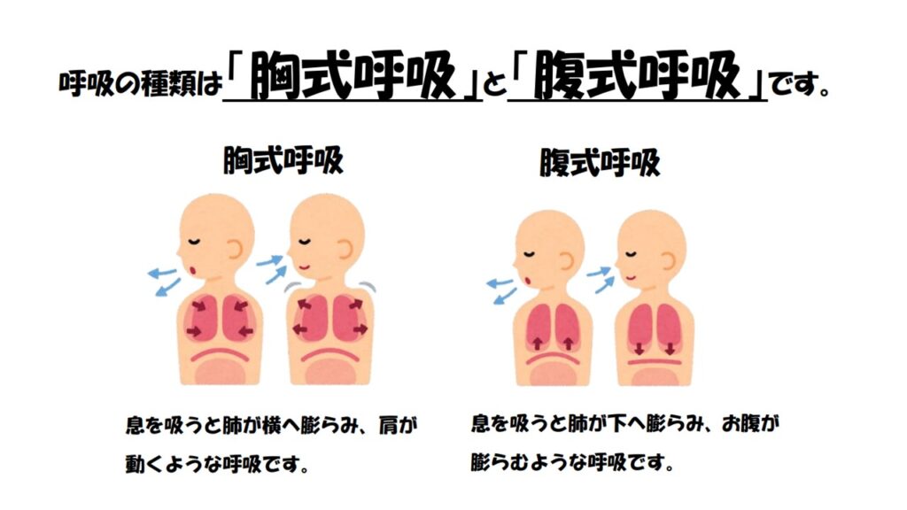 代表的な呼吸法の種類引用画像